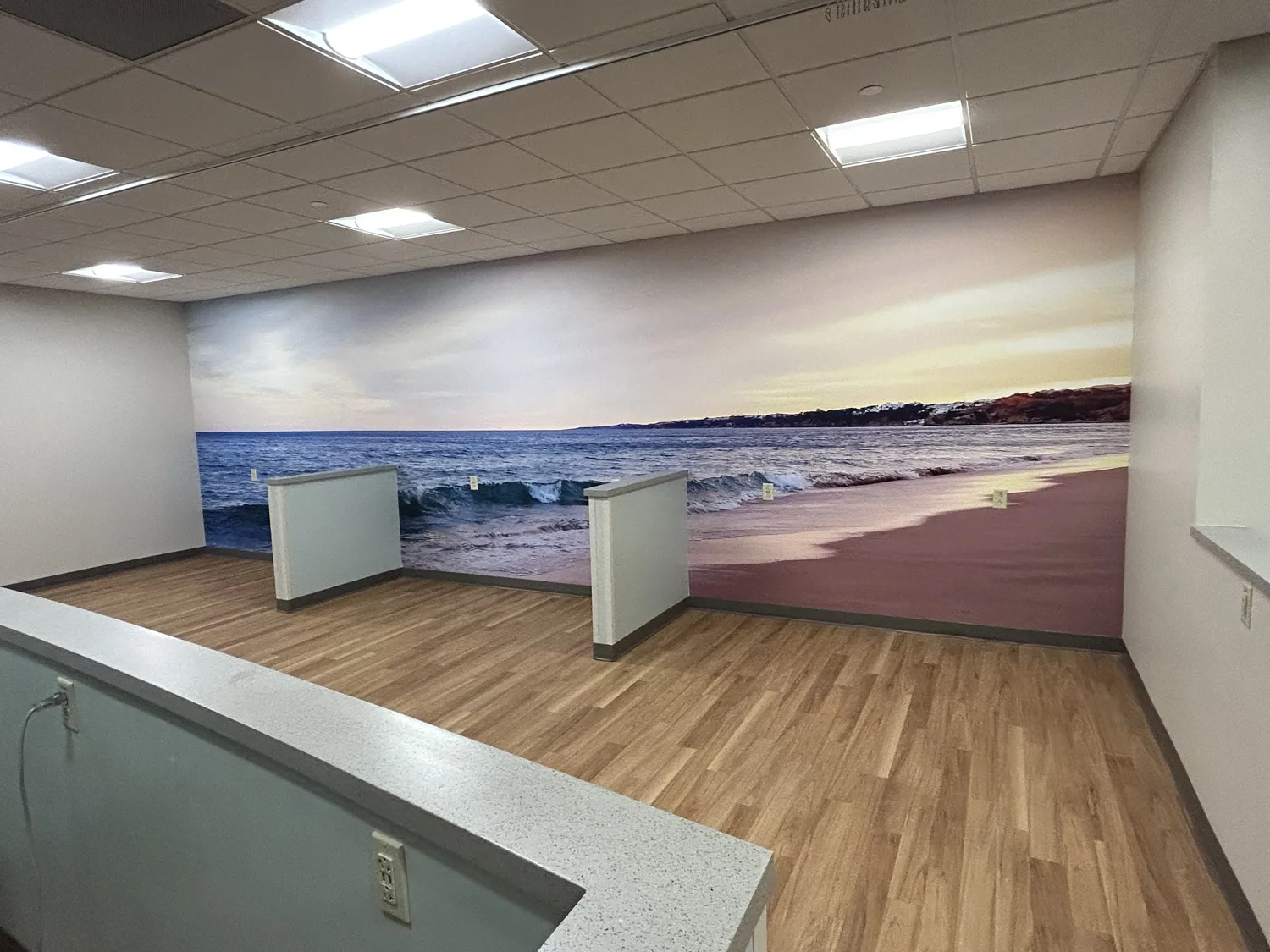 Large-format Whalers wall mural designed, printed, and installed by James River Signs